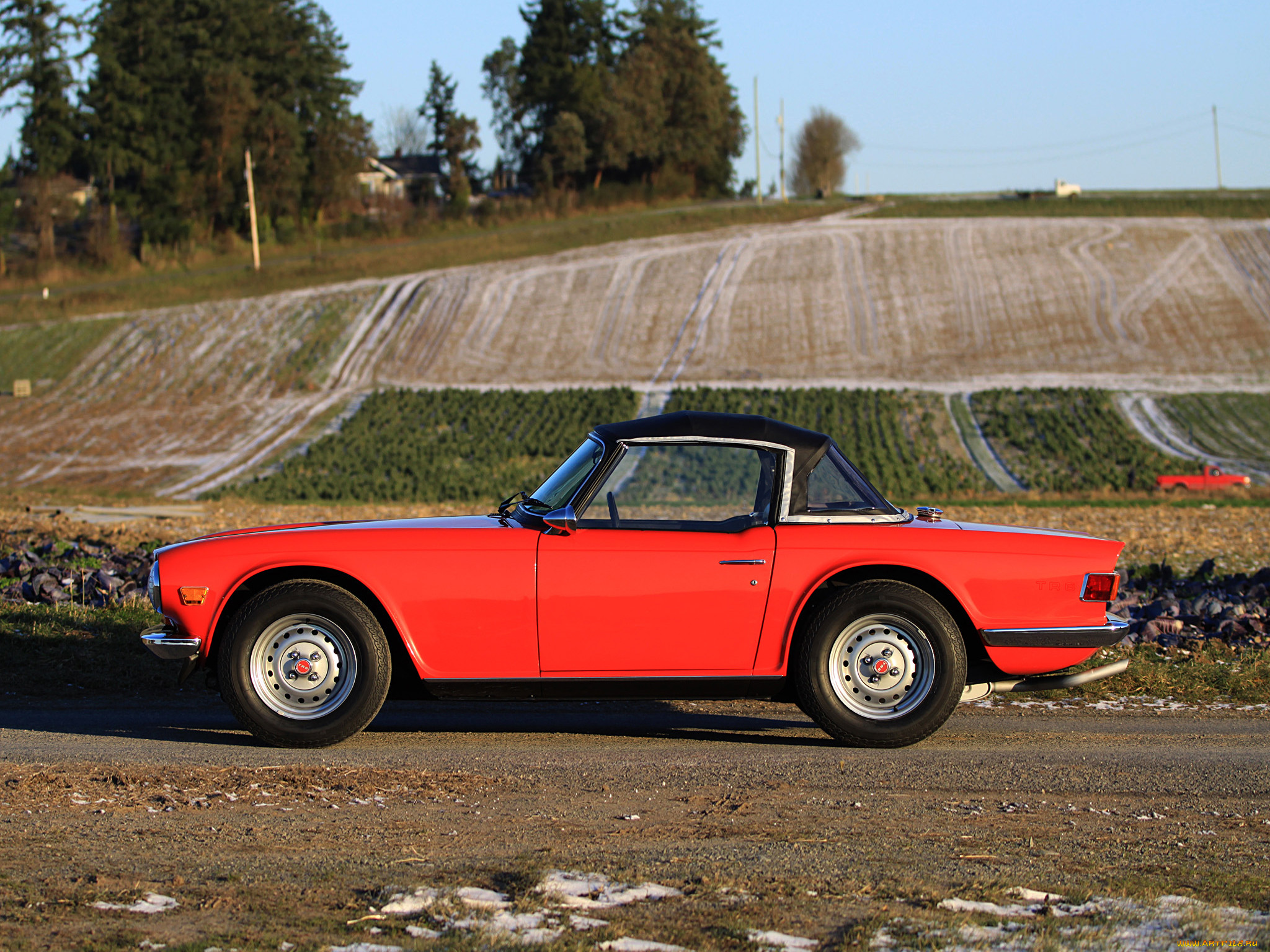 , triumph, tr6